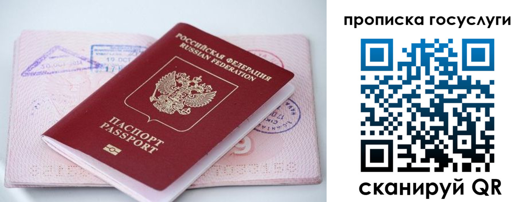 прописка законно в Калининградской области